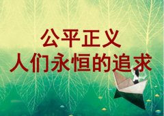 促进社会公平正义,维护百姓合法权益