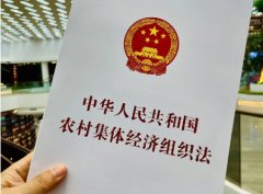 两女子出嫁几十年还回娘家继承宅基地