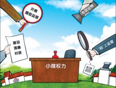 村干部被指以权谋私,乱象背后的民生